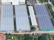 Pronájem skleníků 11 288 m2, cena cena v RK, nabízí Allrisk reality & finance s.r.o.