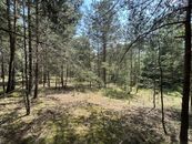 Prodej lesa, OV, 2 123 m2, Kadov - Vrbno, cena 299000 CZK / objekt, nabízí Molík reality s.r.o.
