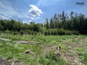 Prodej lesa, OV, 1 948 m2, Kadov - Pole, okres Strakonice, cena 275000 CZK / objekt, nabízí Molík reality s.r.o.