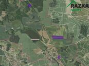 Zemědělské pozemky 1,6 ha Horažďovická Lhota, cena 42 CZK / m2, nabízí 