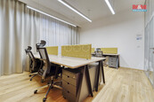 Pronájem kancelářského prostoru, 21 m2, Plzeň, ul. Riegrova, cena 8000 CZK / objekt / měsíc, nabízí 
