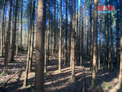 Prodej lesa 5373 m2, v Češtín u Jankova, cena 122000 CZK / objekt, nabízí M&M reality holding a.s.