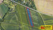 Svinošice - zemědělská půda 8 984 m2 - pozemek, cena 1910000 CZK / objekt, nabízí COLOSEUM NEMOVITOSTI s.r.o.