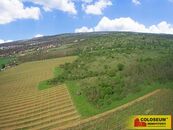 Znojmo Oblekovice, vinice, trvalý travní porost, lesní pozemek, 16 843 m2 pozemek