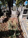 Prodej hrobu na Ústředním hřbitově v Plzni, cena cena v RK, nabízí Mixreality