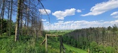 Prodej lesních pozemků - Kožichovice, okres Třebíč, cena 332000 CZK / objekt, nabízí 
