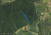 Prodej, Lesy, 8.887 m2 Lomnička u Tišnova, cena 619000 CZK / objekt, nabízí REALO realitní servis