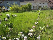 Prodej stavebního pozemku 828 m2, Zlobice, cena 1980000 CZK / objekt, nabízí 