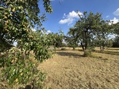 Prodej zahrady 2 387 m2, Ruprechtov, cena 2390000 CZK / objekt, nabízí 