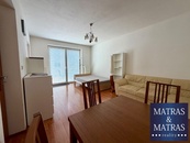 Pronájem bytu 1+kk s velkou terasou, cena 20000 CZK / objekt / měsíc, nabízí Matras & Matras reality