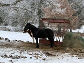 Farma Náhlov by SORENT - prostor pro ty, kteří už nespěchají..., cena 1 CZK / objekt, nabízí 