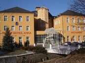 Prodej Amber hotelu Anna v romantickém prostředí Šumavy., cena 45000000 CZK / objekt, nabízí 