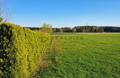 Prodej pole 6 742 m2, obec Řípec, okres Tábor
