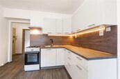 BYT 1+1 K PRONÁJMU - UL. RIEGROVA, DĚČÍN IINOVÉ MĚSTO, cena 8000 CZK / objekt / měsíc, nabízí
