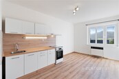 Světlý byt 1+1 k pronájmu - ul. Riegrova, Děčín IINové Město, cena 8000 CZK / objekt / měsíc, nabízí 