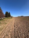 Stavební pozemek 2 530m2 v Malé Bukovině, cena 2400000 CZK / objekt, nabízí 