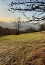 Vlastní království na dohled Děčína: Pozemek 25 018 m2 s panoramatickým výhledem, cena 950000 CZK / objekt, nabízí CENTURY 21 Indigo Reality
