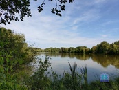 Přehýšovský rybník, okr. Plzeň-sever