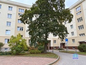 Pronájem bytu 1+1 Plzeň - Slovany, Spojovací, cena 11900 CZK / objekt / měsíc, nabízí HARVILLA - REALITY s. r. o.