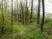Lesní pozemky v Morávce o celkové rozloze 14 492 m2 - rozsáhlý kus přírody, cena 490000 CZK / objekt, nabízí 