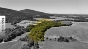 Lesní pozemek 29 772 m2 - Šejby, klid a příroda na dosah, cena 1190000 CZK / objekt, nabízí