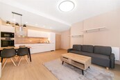 Pronájem bytu 2+kk, 92 m2, Plzeň, ul. Bolevecká, cena 23000 CZK / objekt / měsíc, nabízí
