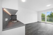 Prodej bytu 2+kk, 60 m2, parkovací stání, Dobřany, ul. Loudů, cena 4990000 CZK / objekt, nabízí CENTURY 21 The Most Reality