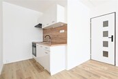 Prodej družstevního bytu 2+kk 40 m2, Františka Malíka, Most, cena 1920000 CZK / objekt, nabízí CENTURY 21 The Most Reality