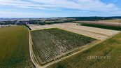 Prodej vinice - 48 928 m2, Těšetice u Znojma, cena 106 CZK / m2, nabízí 