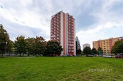 Prodej bytu 3+1, 79 m2, Plzeň - Doudlevce, určený ke kompletní rekonstrukci, cena 5690000 CZK / objekt, nabízí 