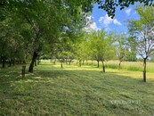 Pozemek u řeky Moravy v Milokošti - místo pro odpočinek, přírodu a rekreaci, cena 145000 CZK / objekt, nabízí 