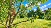 Pozemek, který vám dá prostor. Pro život, rodinu i budoucnost., cena 3990000 CZK / objekt, nabízí 