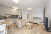Pronájem, Byt 1+kk, Brno, cena 18000 CZK / objekt / měsíc, nabízí 