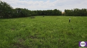 Prodej, Pozemek pro stavbu RD, bytů, Dymokury