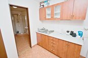 Pronájem mezonetového bytu 3+1 Brno, Hrnčířská, cena 25000 CZK / objekt / měsíc, nabízí VIOLET real