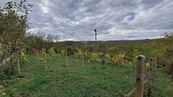 Prodej zahrady 2010 m2, Dolní Kounice, cena 1750000 CZK / objekt, nabízí Airhomes.cz s.r.o.