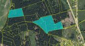 Prodej lesa 26667 m2, Mukařov u Jablonce nad Nisou, cena 30 CZK / m2, nabízí Airhomes.cz s.r.o.