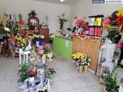 Pronájem obchodního prostoru, 54 m2, ul. Slezská, Orlová, cena 8500 CZK / objekt / měsíc, nabízí Dančák & Partners