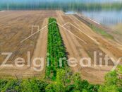 Prodej meruňkového sadu 8 494 m, Zaječí, cena 1 CZK / objekt, nabízí Zelgi reality s.r.o.