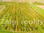 Soubor sadů - Rakvice - 210 277 m - 21ha, cena 55000000 CZK / objekt, nabízí Zelgi reality s.r.o.