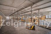 Pronájem komerčního objektu v Miloticích 994 m2 - možnost úpravy podle představ, cena 100 CZK / m2 / měsíc, nabízí Zelgi reality s.r.o.