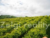 Polom - Jabloňový sad 9760m s zahradním domkem na prodej, cena 2611000 CZK / objekt, nabízí Zelgi reality s.r.o.