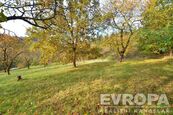 Prodej pozemku 2320m2 v obci Luh u Pečiček, cena 2750000 CZK / objekt, nabízí
