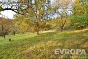 Prodej pozemku 2320m2 v obci Luh u Pečiček, cena 2950000 CZK / objekt, nabízí EVROPA realitní kancelář