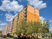 Pronájem 1+1, 36m2, 8.NP, Jižní Předměstí, Plzeň, cena 12500 CZK / objekt / měsíc, nabízí 