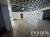 Pronájem výrobního nebo skladovací prostoru o výměře 58m2, U borského parku, Plzeň, cena 15000 CZK / objekt / měsíc, nabízí 