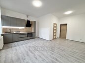 Pronájem 2+kk po rekonstrukci, 52 m2, ulice Riegrova, České Budějovice