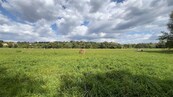Prodej louky 3892 m2 Ostrava Bartovice investice do budoucna., cena 360000 CZK / objekt, nabízí