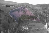 Prodej lesní parcely 42 597 m2 v Nýdku, cena 3300000 CZK / objekt, nabízí Century 21 Synergy