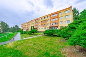 Pronájem bytu 1+1 s lodžií a dvěma úložnými prostory, Bílina - Alšova ulice, cena 7000 CZK / objekt / měsíc, nabízí 